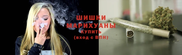 СК Медвежьегорск