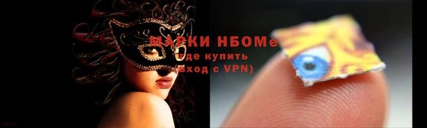 СК Медвежьегорск