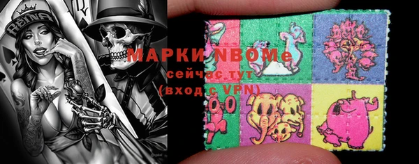 СК Медвежьегорск