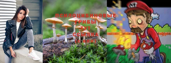 ГАЛЛЮЦИНОГЕННЫЕ ГРИБЫ Мегион