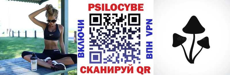 omg вход  где найти наркотики  Новочебоксарск  Псилоцибиновые грибы MAGIC MUSHROOMS 